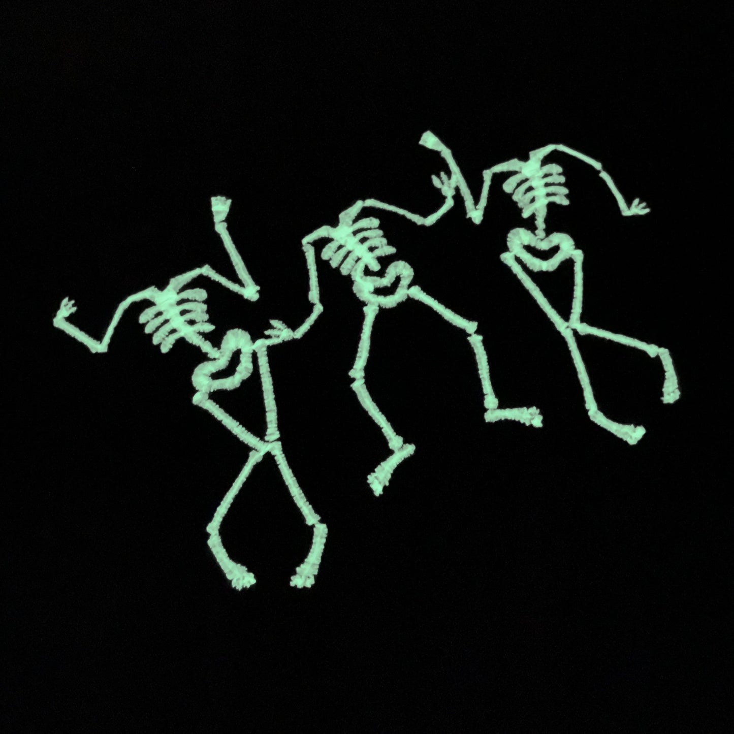 Dancing Skeletons Embroidered Sweatshirt