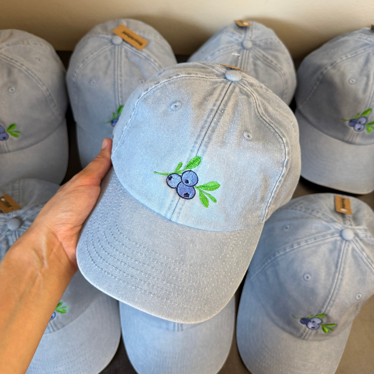 Blueberry Embroidered Cap